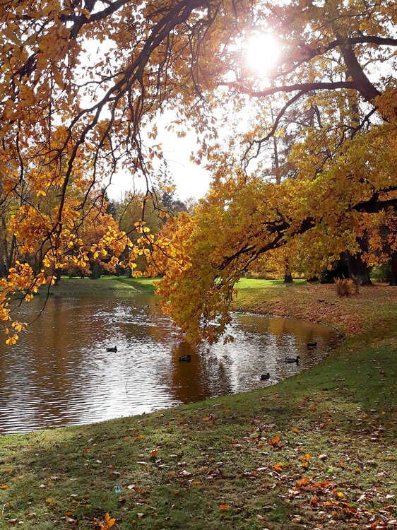20221008_150910.jpg