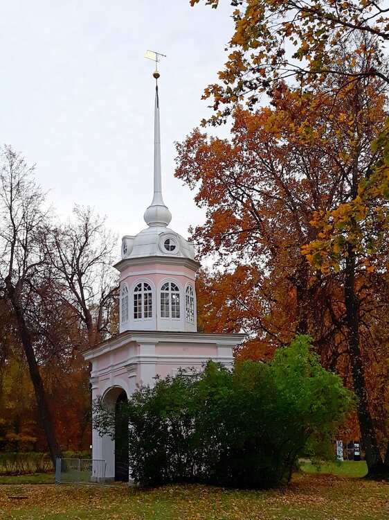 20221008_172217.jpg