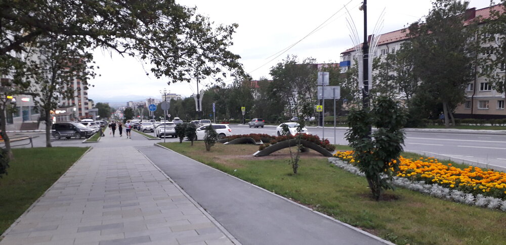 20250810_202454.jpg