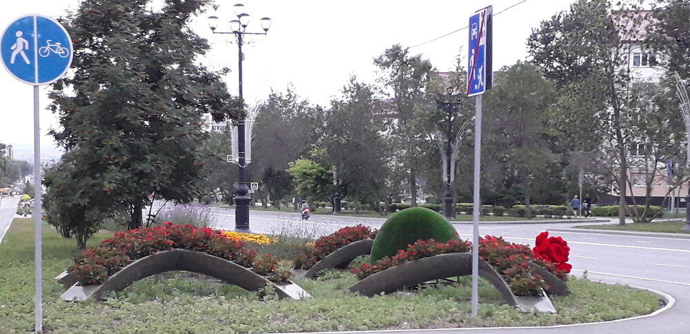 20250810_202710.jpg