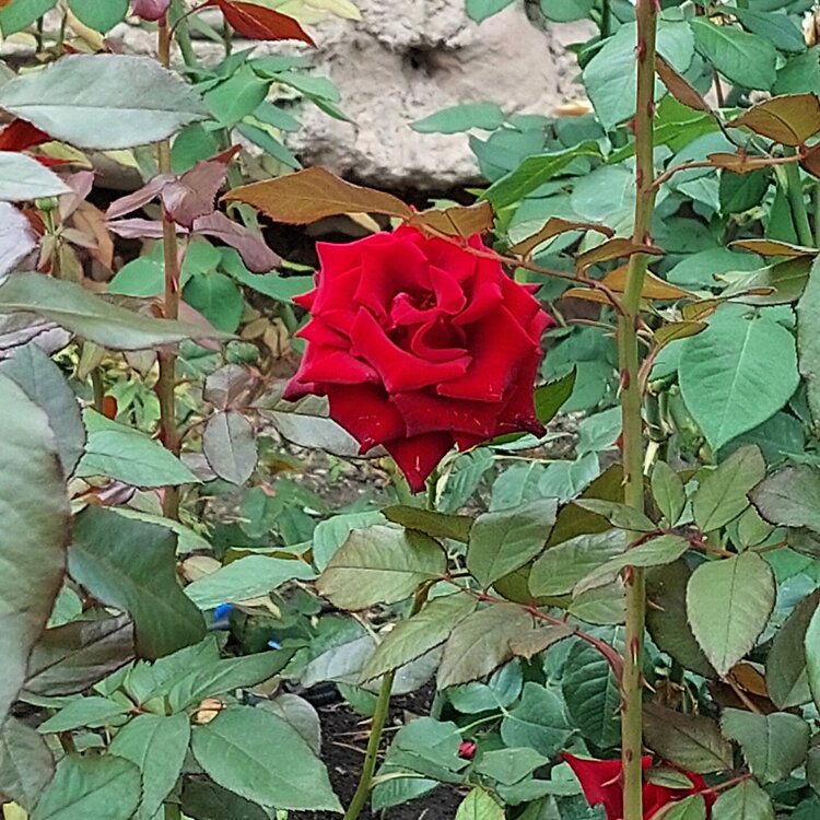 20250916_152056.jpg