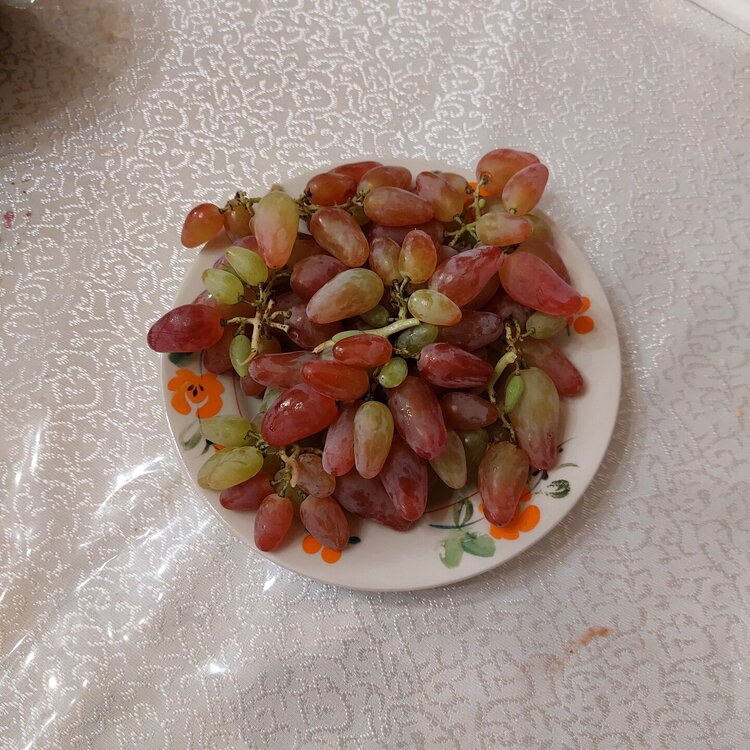 20250917_135742.jpg