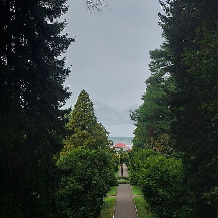 20250919_160257.jpg