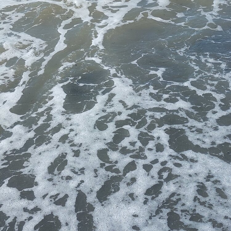20250922_132553.jpg
