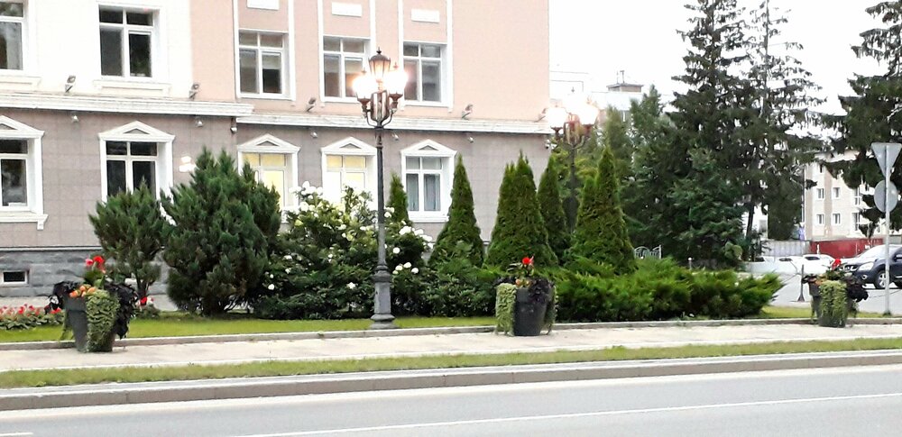 20250929_160604.jpg