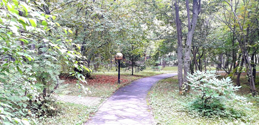 20250929_160839.jpg