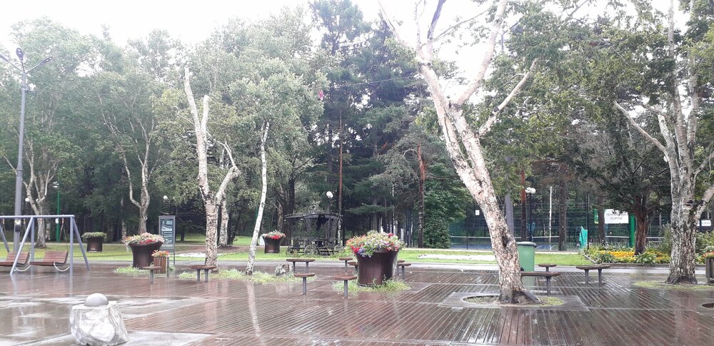 20250929_162227.jpg