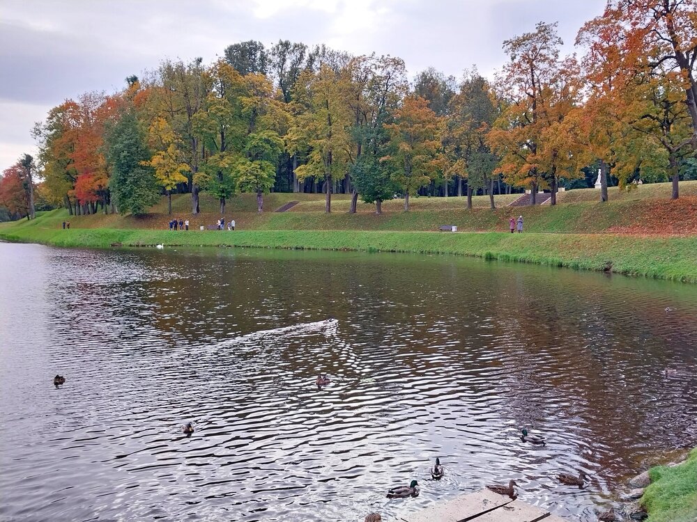 20251005_122059.jpg