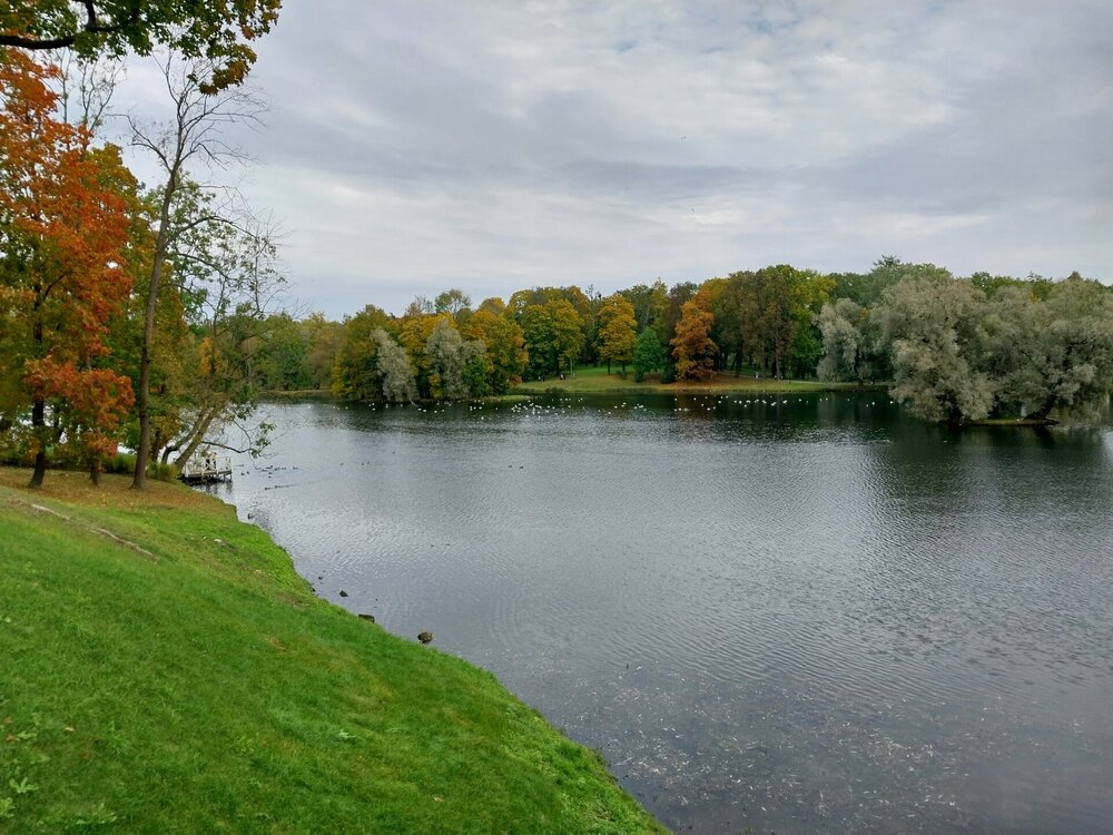 20251005_122542.jpg