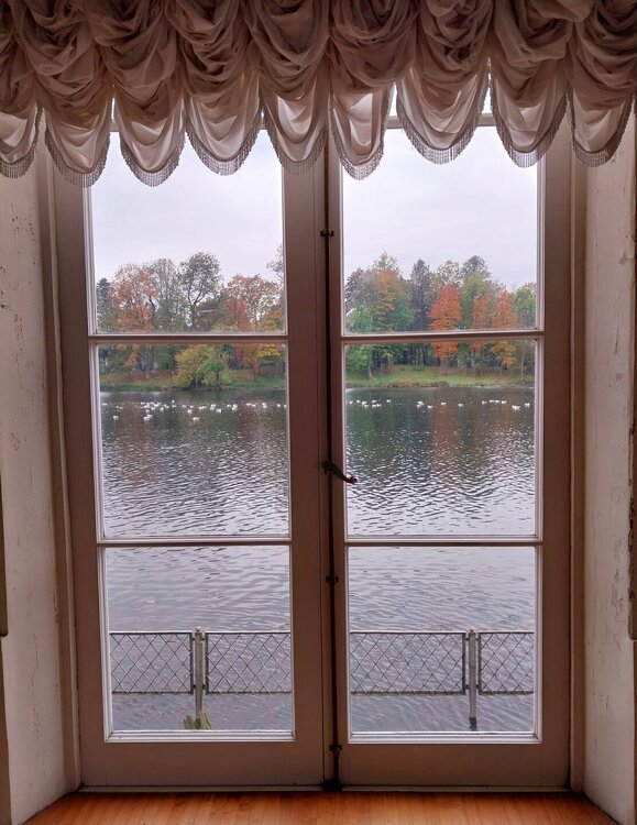 20251005_133330.jpg