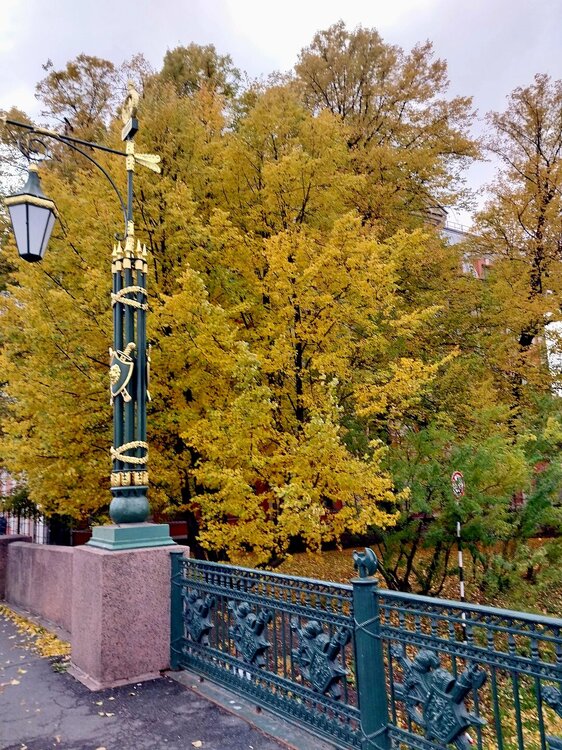 20251011_154039.jpg