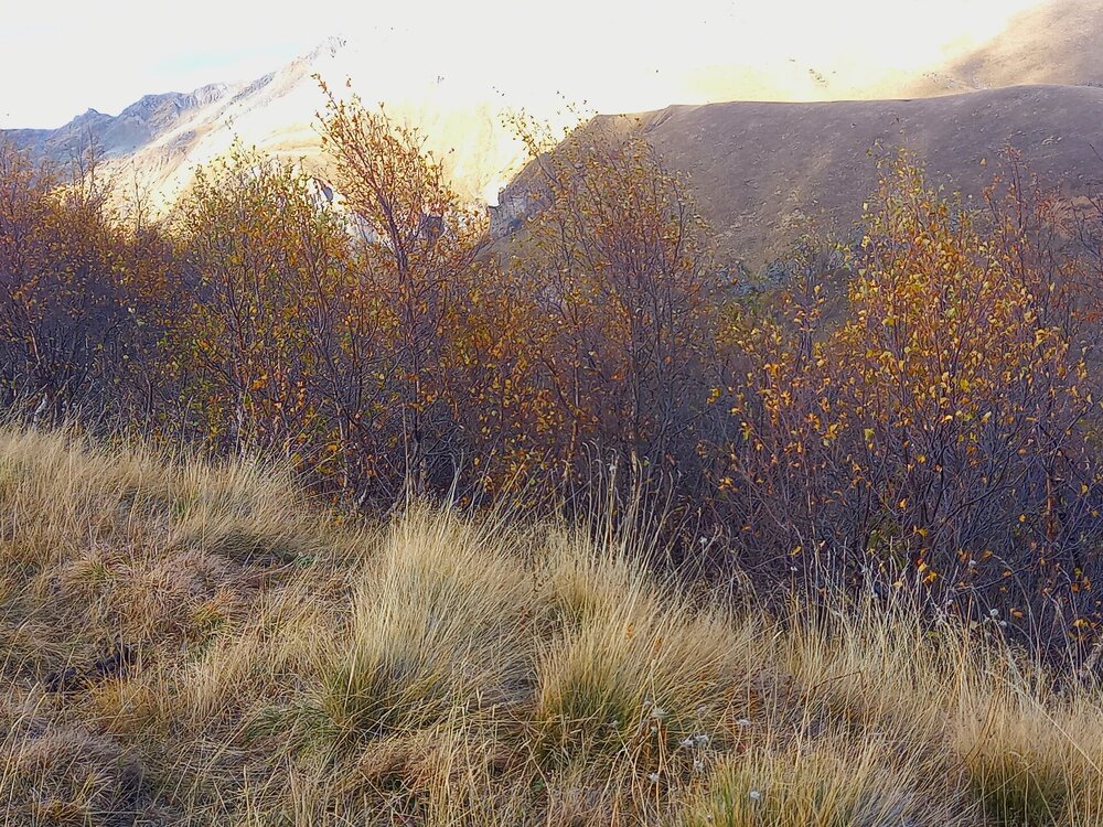 20251017_144930.jpg