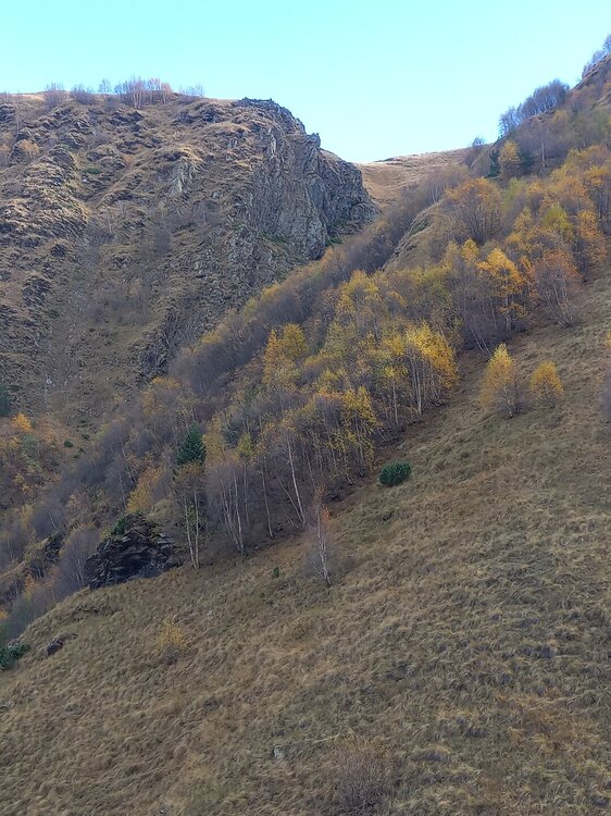 20251017_155420.jpg