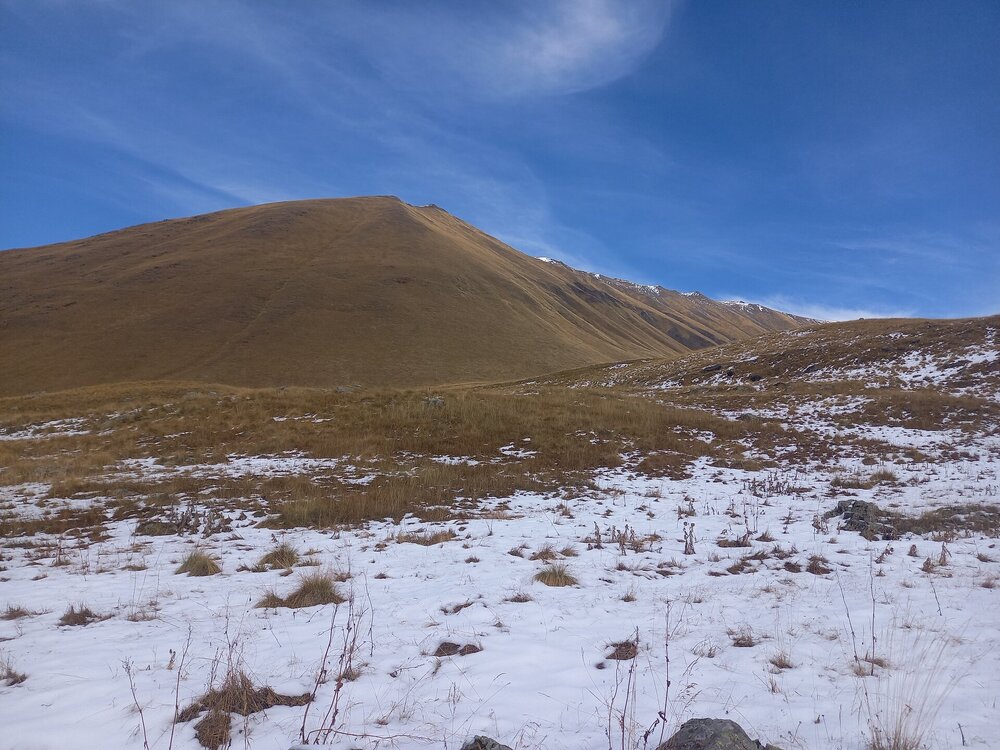 20251018_130327.jpg