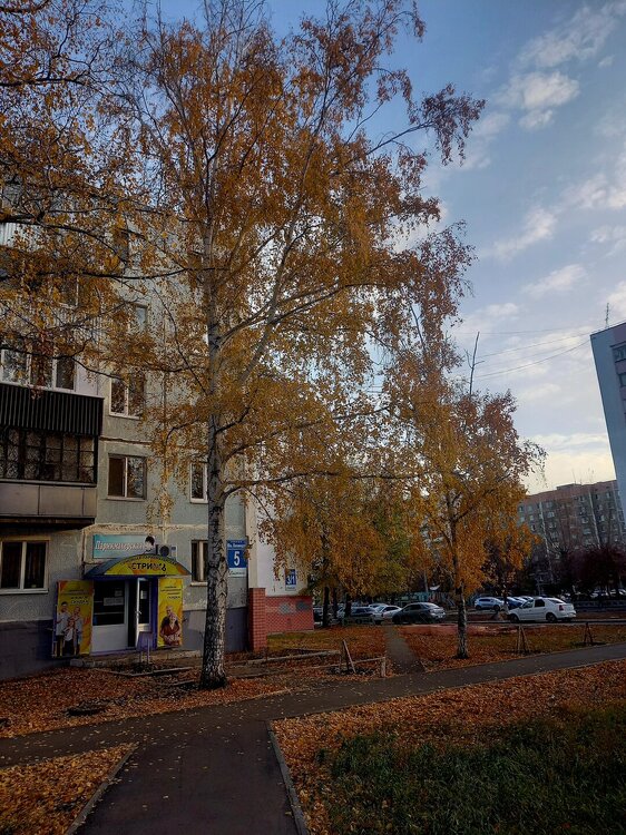 20251020_165430.jpg