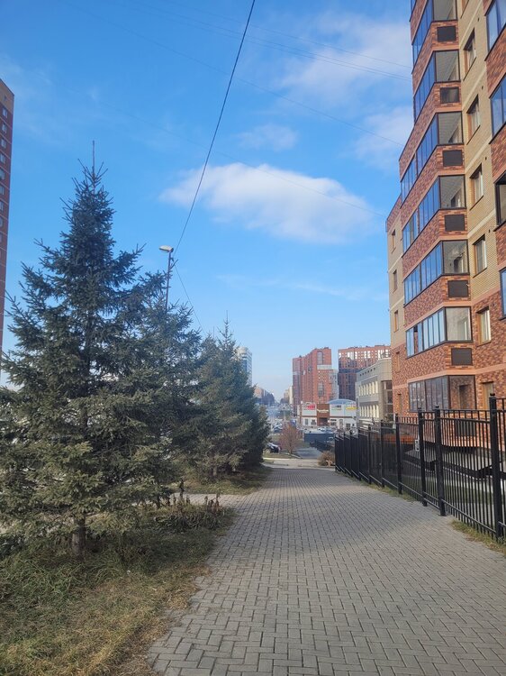 20251026_151747.jpg