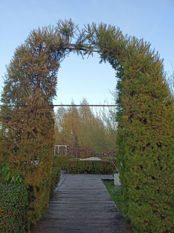 IMG20251001175126.jpg