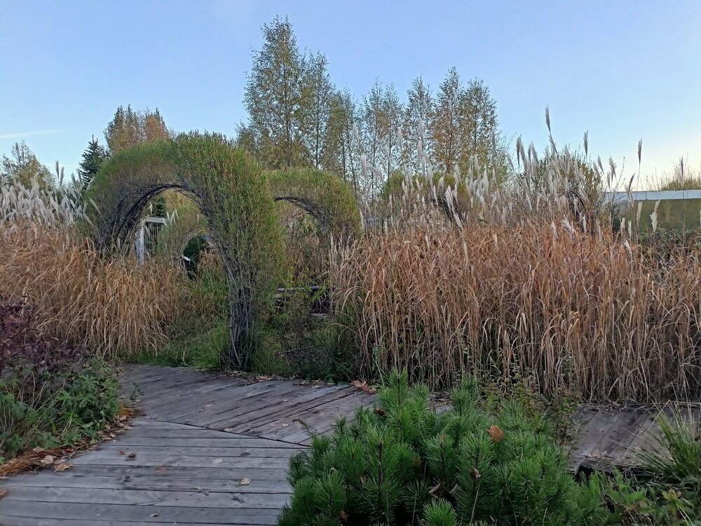 IMG20251001175352.jpg