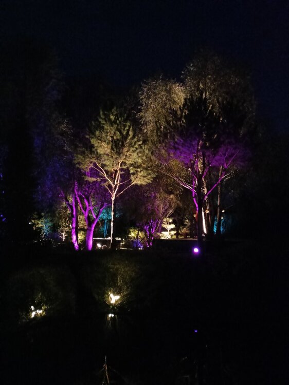 IMG20251001190717.jpg