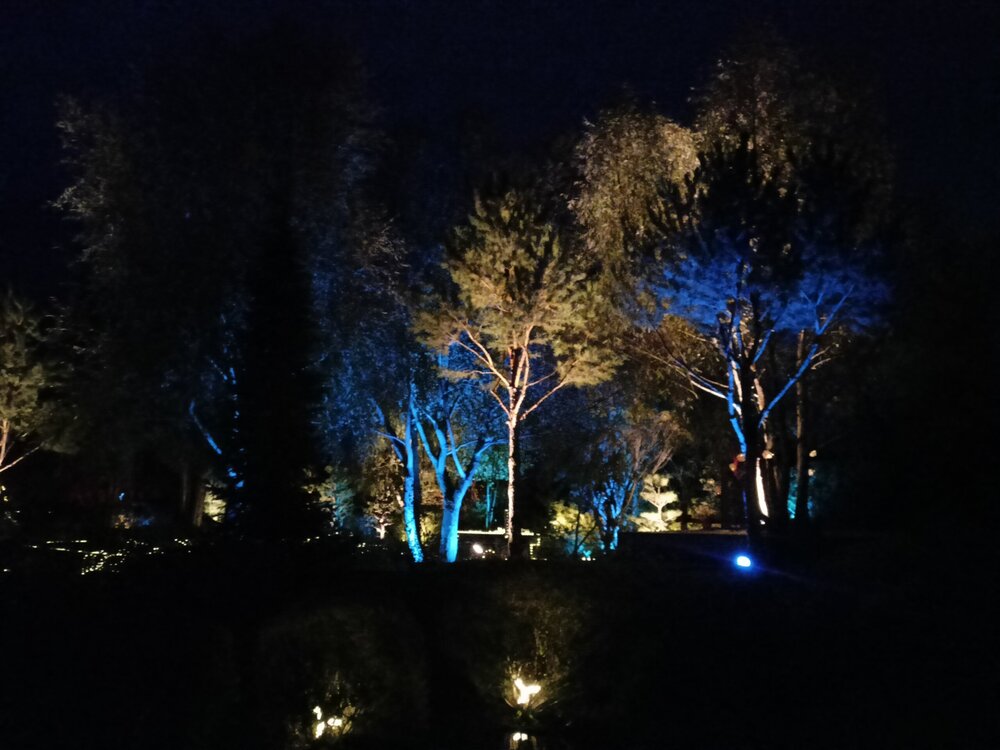 IMG20251001190724.jpg