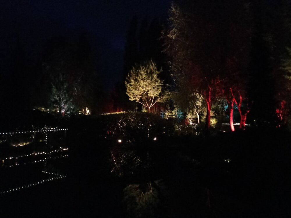 IMG20251001190744.jpg
