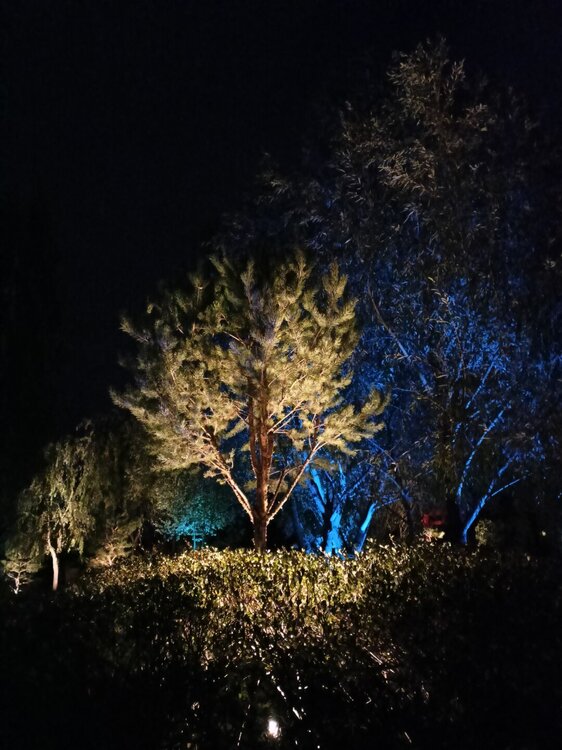 IMG20251001191205.jpg