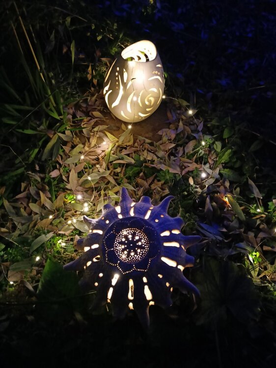 IMG20251001191351.jpg