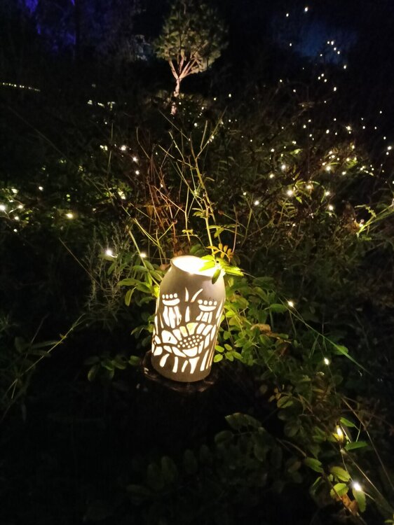 IMG20251001191526.jpg