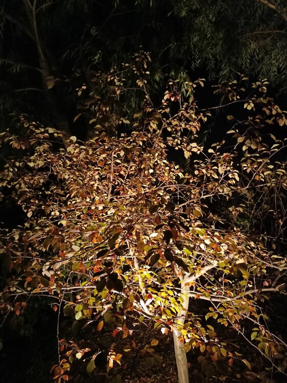 IMG20251001191713.jpg
