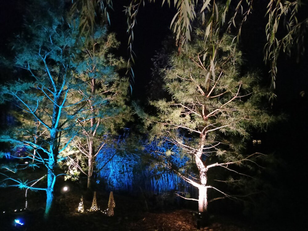 IMG20251001191719.jpg
