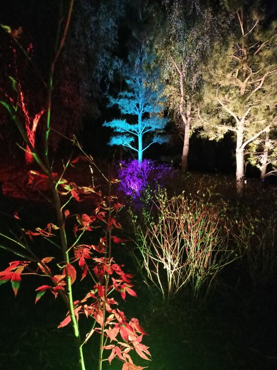 IMG20251001191927.jpg
