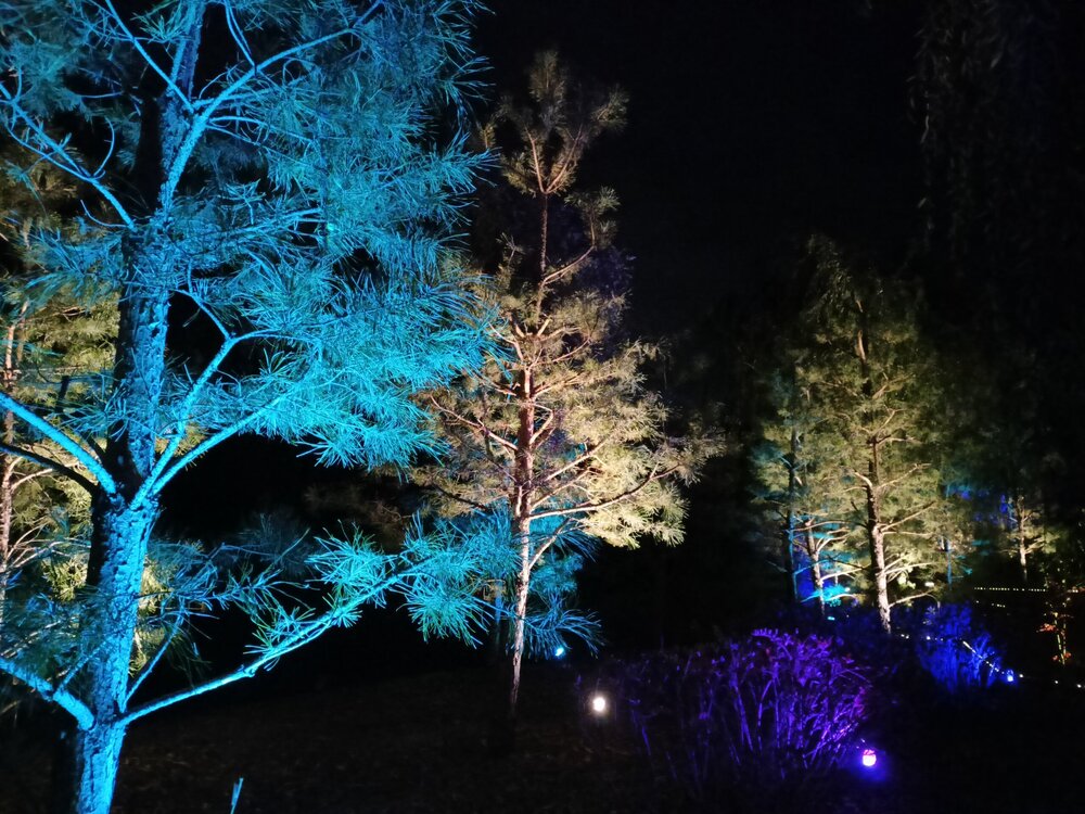 IMG20251001192053.jpg
