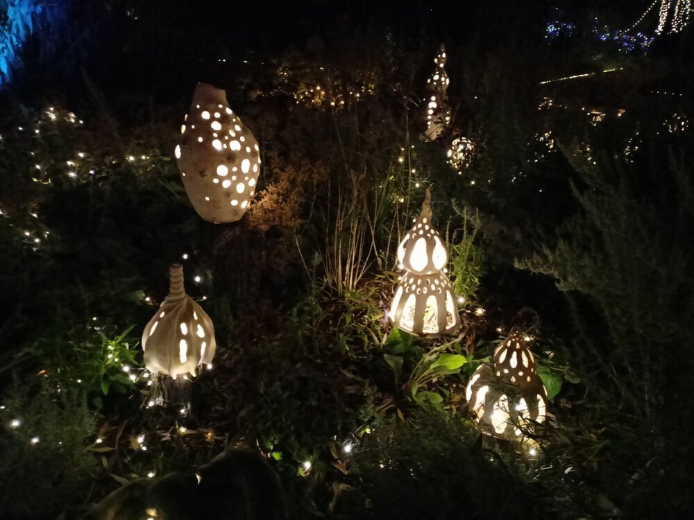 IMG20251001192126.jpg
