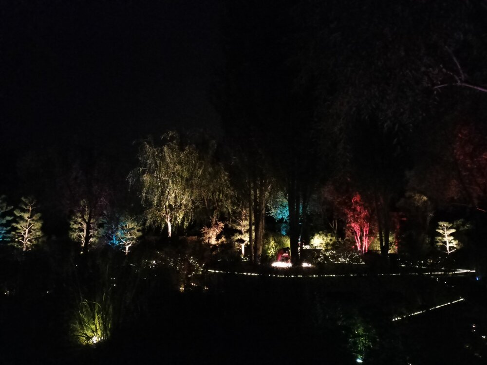 IMG20251001192620.jpg