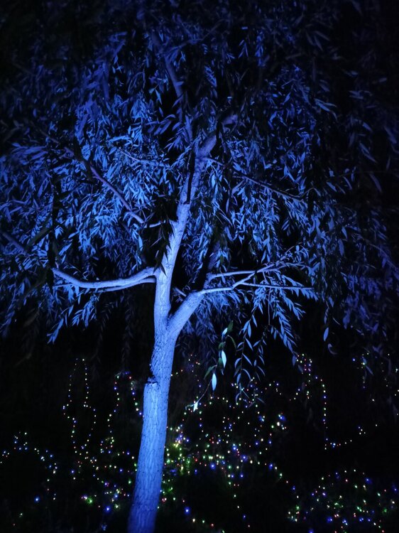 IMG20251001192819.jpg