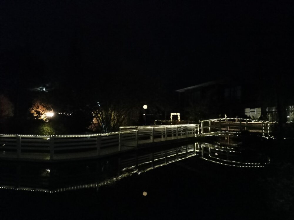 IMG20251001193118.jpg