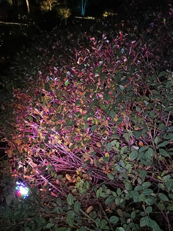 IMG20251001193139.jpg