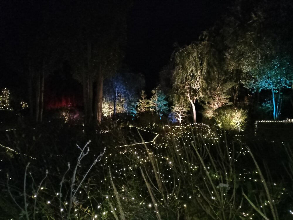 IMG20251001193201.jpg