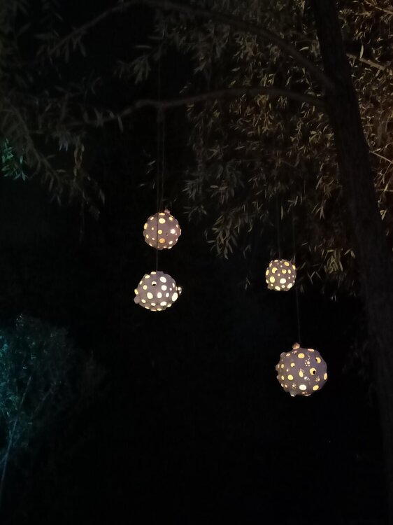 IMG20251001193237.jpg