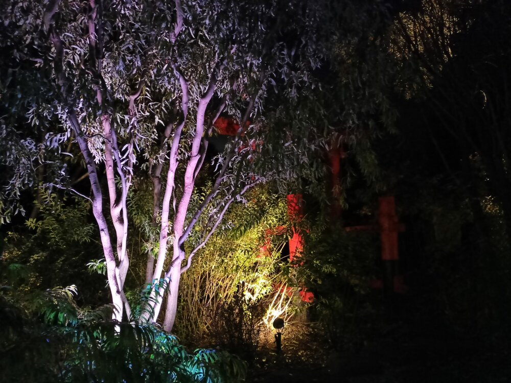 IMG20251001193314.jpg