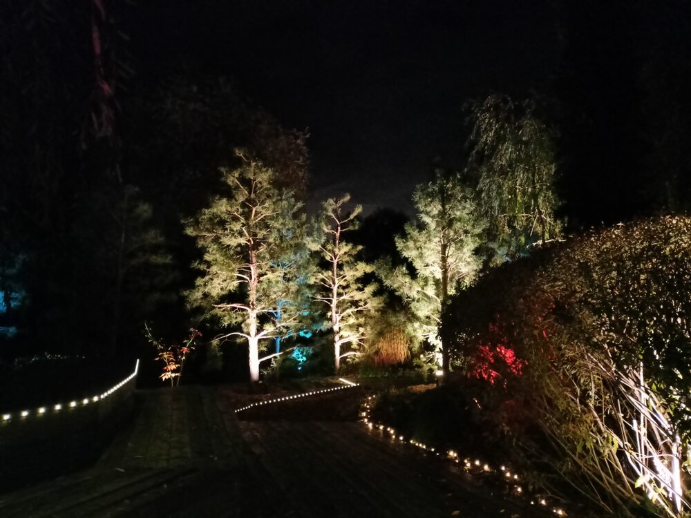 IMG20251001193658.jpg