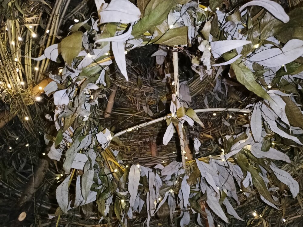 IMG20251001194223.jpg
