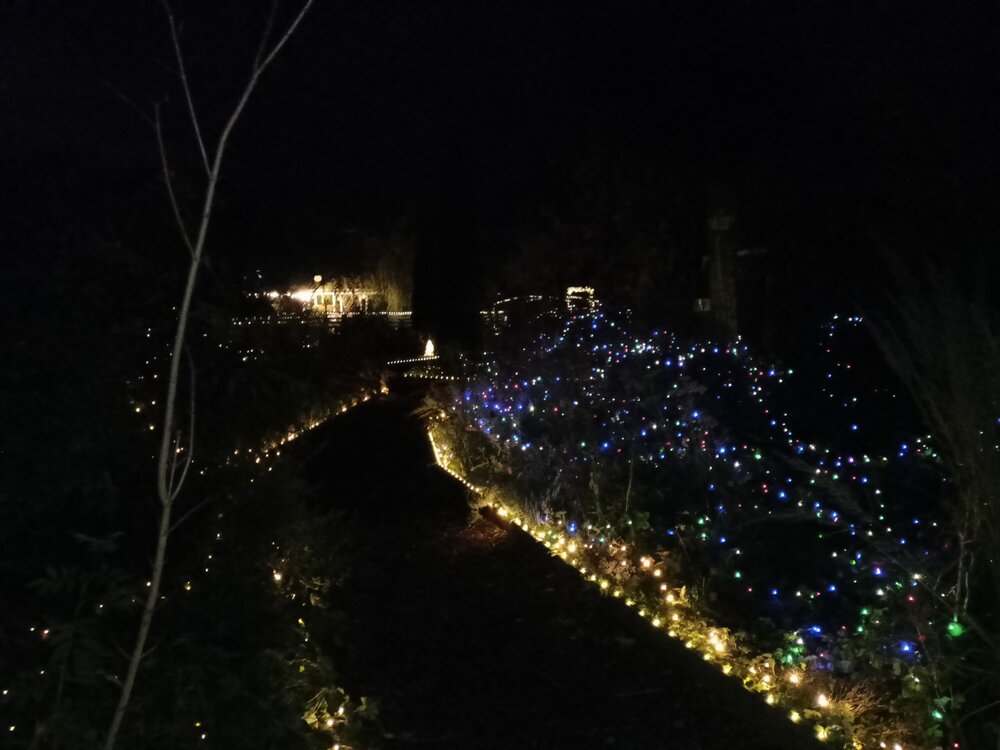 IMG20251001194317.jpg