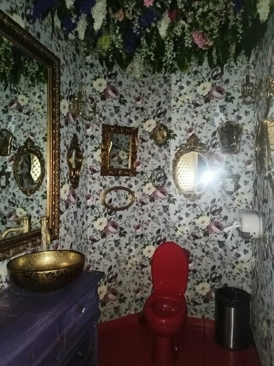 IMG20251011152843.jpg