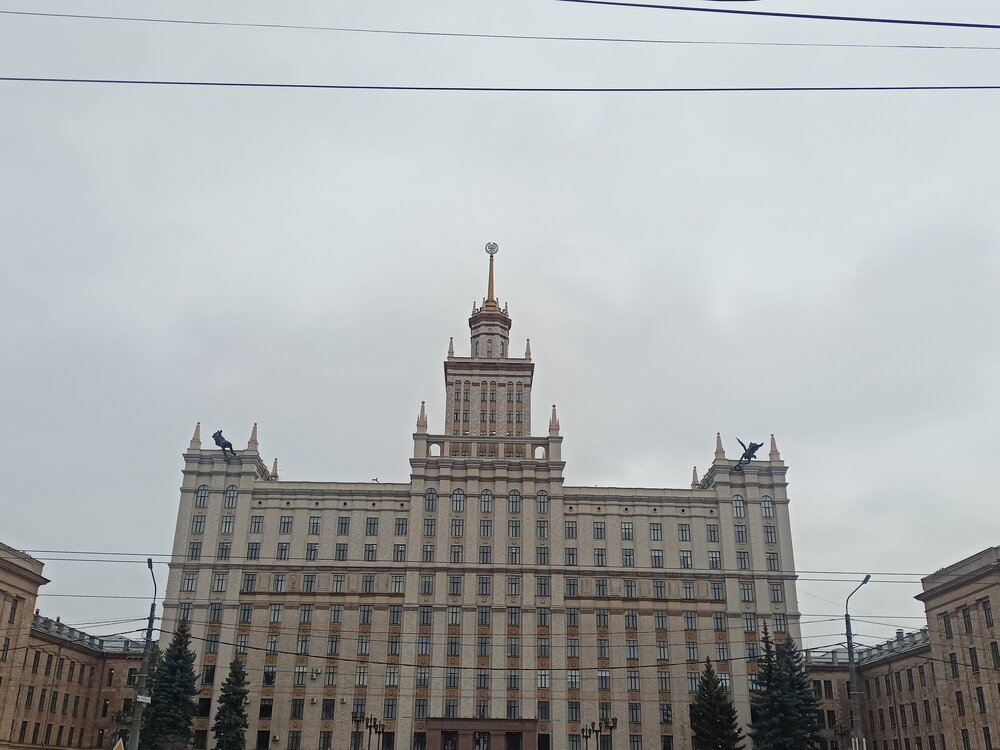 IMG20251011153547.jpg