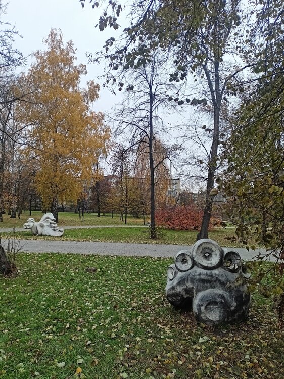 IMG20251011161025.jpg