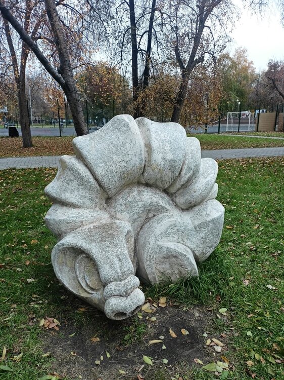 IMG20251011161435.jpg