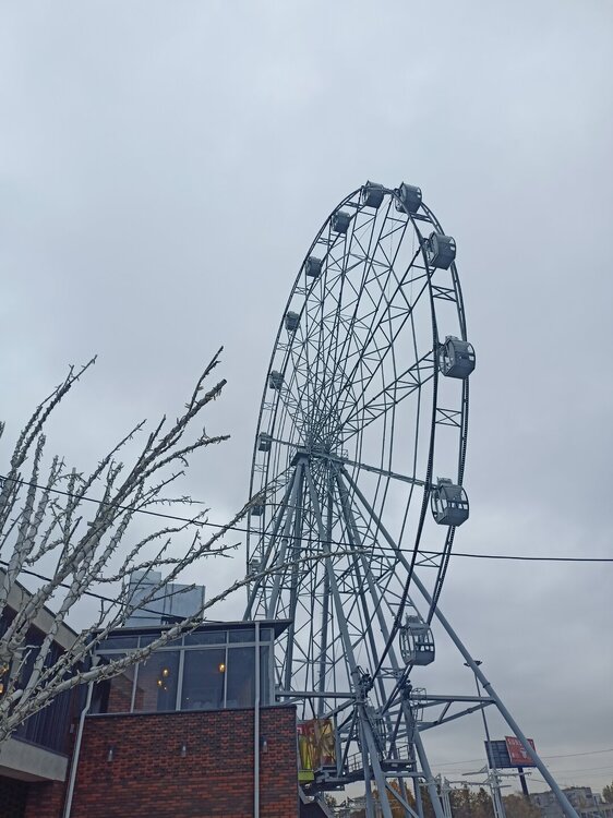 IMG20251011163746.jpg