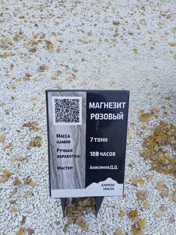 IMG20251011164536.jpg