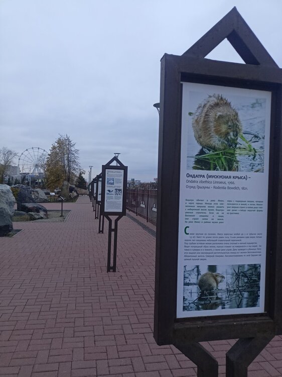 IMG20251011170231.jpg